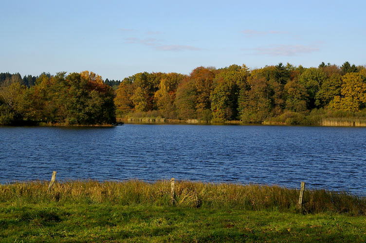 Brinkenweiher