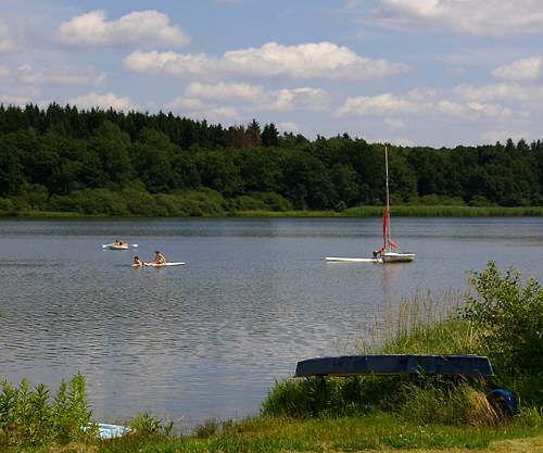Der Dreifelder Weiher